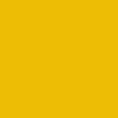 RAL 1021 Грязно-желтый
