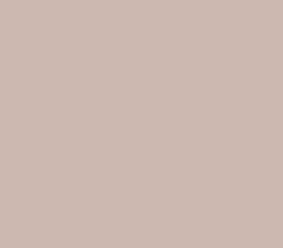 CARAMEL 10 caparol образец цвета