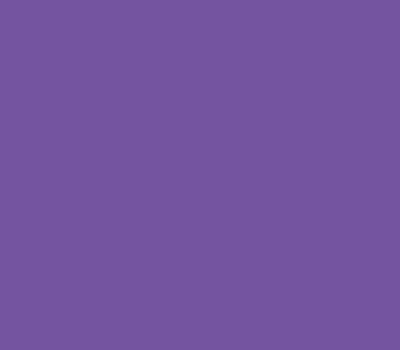 AMETHYST 110 caparol образец цвета