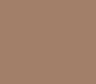 CARAMEL 40 caparol образец цвета