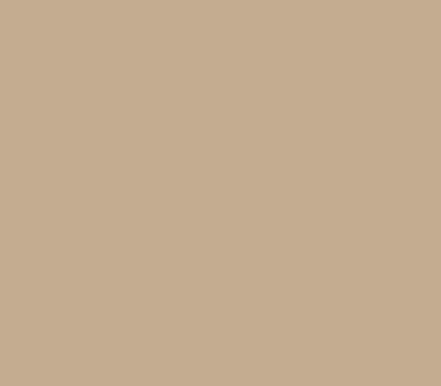 CARAMEL 45 caparol образец цвета