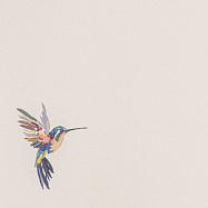 Обои Andrea Rossi Spectrum+ 54356-1