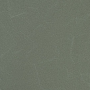 Обои Andrea Rossi Spectrum+ 54351-14