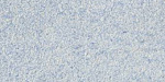 Жидкие обои Silk Plaster Optima 057