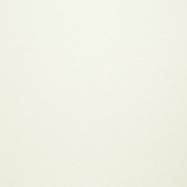 Обои BN International Tailor 249351