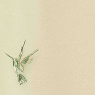 Обои Andrea Rossi Spectrum+ 54356-4