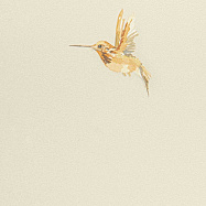 Обои Andrea Rossi Spectrum+ 54356-2