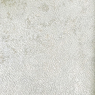 Обои Zambaiti Parati Unica Z63050