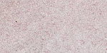 Жидкие обои Silk Plaster Optima 061